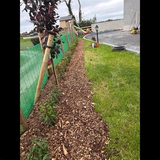 Who would love a hedge planted around their house? Don't know where to start? Are team at Davidson's Walled Garden Centre - Ballinahone Nursery can make that happen 💪 Watch this clip of us in action planting a Portagesse laurel hedge for a customer. Thank you for the trust and business 👏 Let us know what yous think below 👇 | Davidson's Walled Garden Centre - Ballinahone Nursery