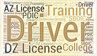 DZ Licence -