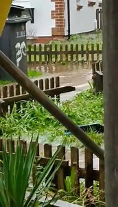 Barton 😱 | Spotted Torquay