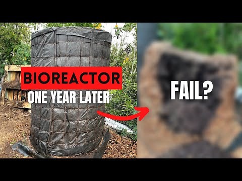 I waited one year for this compost...