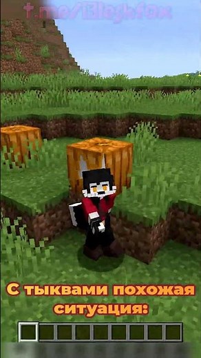 Popular Minecraft MYTHS! | 53 | Secret Facts #minecraft #minecraft #shorts
