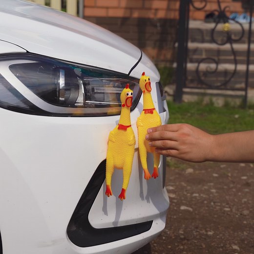 Level Up Your Ride! Genius Fixes & Upgrades You'll Love | 5-Minute Crafts Family