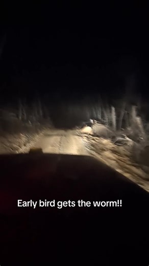 #logging #bluecollar #jdlogging #trucker @John Hacker @austin