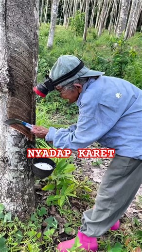 Nenek lulus test kerja nyadap karet
