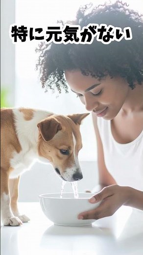 犬が水を飲まない…実は危険なサインかも⚠️
