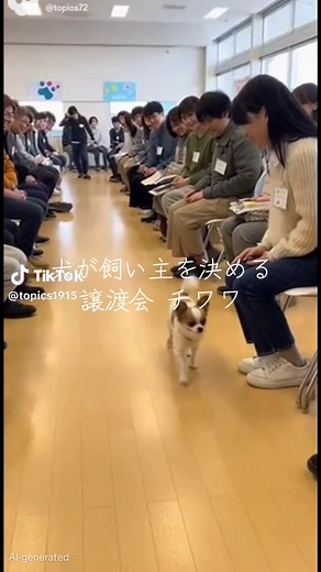犬が飼い主を決める譲渡会！チワワ特集