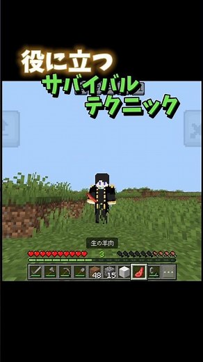 役に立つサバイバルテクニック【マイクラ】【Minecraft】