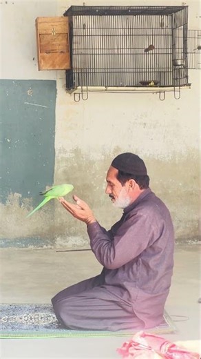 Parrot Prays with Owner 😱🦜❤️ | Emotional Moment #birds #viral