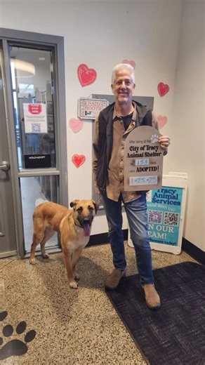 As we look back on 2025, we are so in aw of the relationships, networks, resources, donations, compassion, community, and village we are apart of! Many things were accomplished and we can’t wait to see what 2026 brings our little shelter! Be safe and happy New Year! #nye #newyear #tracyca #tracyanimalservices #community | City of Tracy Animal Services