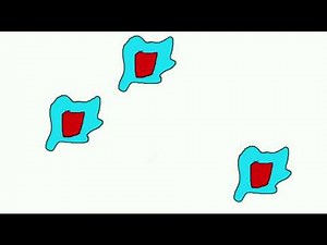 Day-in-the-Life: New Product Development Engineer