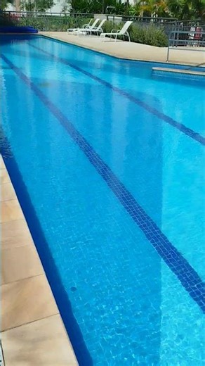 Piscina padrão Piscineiro Online 🦩 #technology #pool #verão #casa #arquitetura #imobiliaria