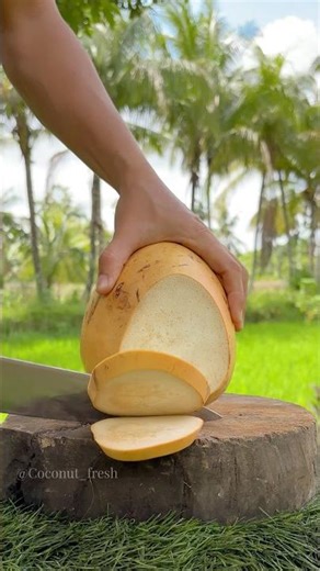 Closing 2025 with the Last Coconut Slice