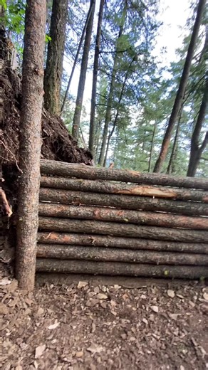 Building a Bunker for Survival: Day 9 Progress