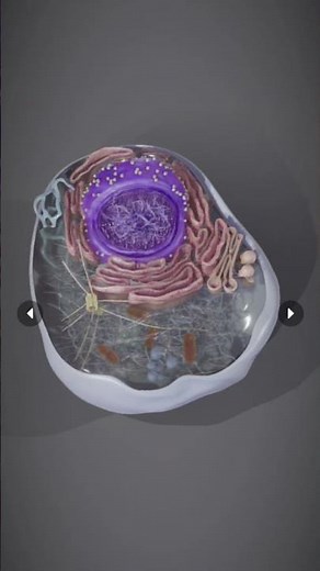 cell explaination by 3D animation. #shortvideo #viral #shorts #biology