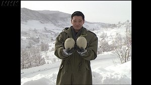 ＮＨＫスペシャル　ニューウエーブドラマ　ビデオレター｜番組｜NHKアーカイブス