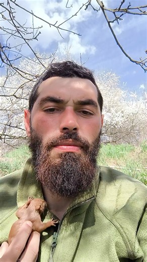 33K views · 2.5K reactions | Need to find the right spot to have a nap. | In Ukraine | Facebook