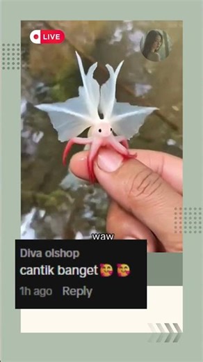 Fish Crawling to Finger Like Real Life AI #fishvideo #aivibes #uniquemoments