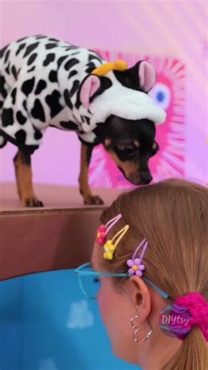🖥️🐾 DIY Recycled TV Dog Bed 🐾 Genius Idea