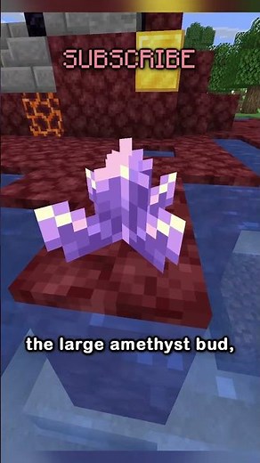 i finally found a use for the large amethyst bud