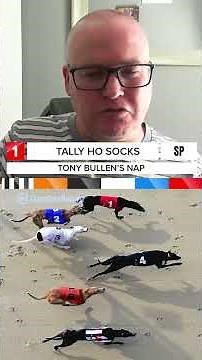 Greyhound Racing best bets this weekend | Off The Leash #greyhoundracing #premiergreyhoundracing