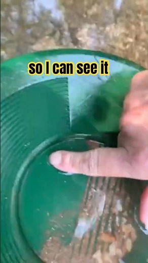 #goldpanning in #missouri #notellemcreek with ‪@MamaBird70‬ finding #flourgold