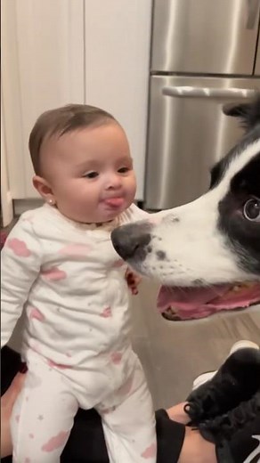 Best friends #dog #baby #love #cute #pets