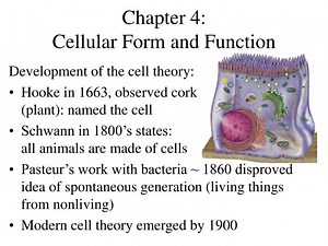 Chapter 4: Cellular Form and Function - SlideServe