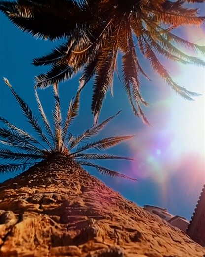 Who knew great videography was so simple! | UNILAD