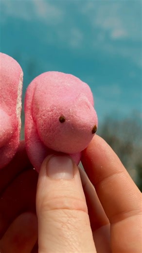 PEEPS vs. Karma SLS Semi Auto PCP Airgun