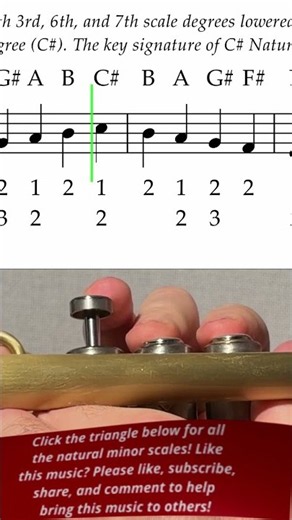 How to Play C# Natural Minor Scale on Trumpet Flawlessly on Beginner Level! -Real piano trio & music