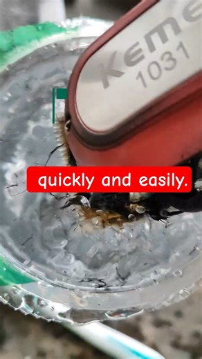 Cleaning a hair clipper quickly and easily.