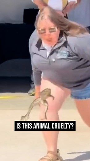 Future Now on Instagram: "Is frog jumping innocent fun? Or cruel and unusual treatment for our amphibian friends? When the machine and AI overlords take over, will they enact a karmic revenge on humans on behalf of the frogs? . . #weird #wtfvideos #pets #pet #froggy"