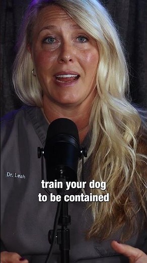 Why Invisible Fences Are a BAD Idea for Dogs 🚫 | Vet It Out with Dr. Leah