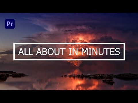 How to Create a Border Reveal Effect | Adobe Premiere Pro 2022 Tutorial