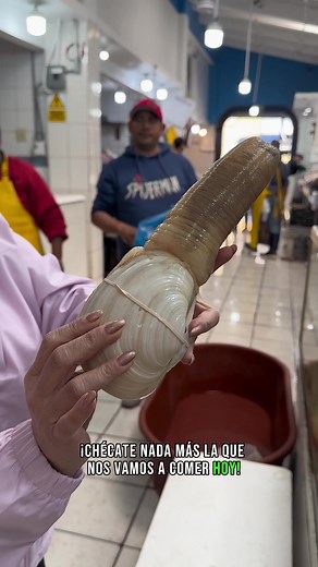 Todo sobre la Almeja Chiluda: Nutrientes y Preparación