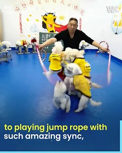 Most Well Behaved Dogs | Smart Home | Facebook