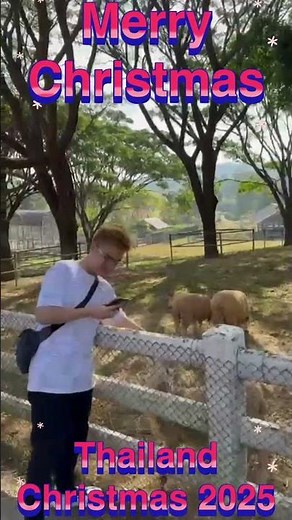 Singha Park Thailand #shortvideo #merrychristmas #travelreels