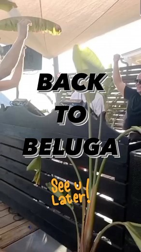 FTG djset/live on Reels