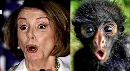 Nancy and the beast #nancypelosi