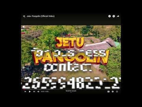Jetu Pangolin beat instrumental