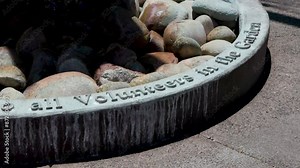 61 Phoenix Arizona cactus nature botanical garden desert landscape