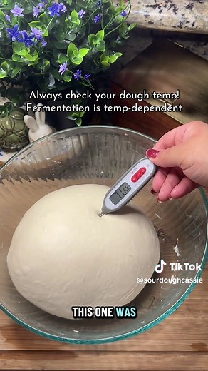 Mastering 10-Hour Bulk Fermentation for Sourdough