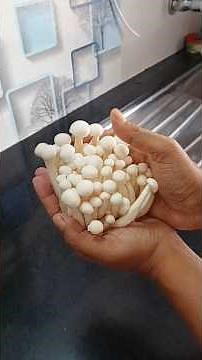 Benefits of eating Shimeji Mushroom ♥️#viralvideo #mashroom #healthy