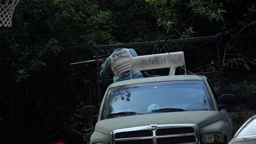 Can you kill a Florida black bear in your yard? What to know before you get your gun