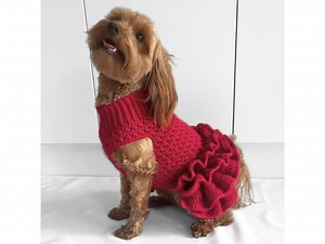 CROCHET PATTERN, Crochet Dog Jumper, Pet Tutu, Crochet Dog Sweater Pattern, Crochet Puppy Dress, Crochet Pet Sweater, Crochet for Pets, Cat - Etsy