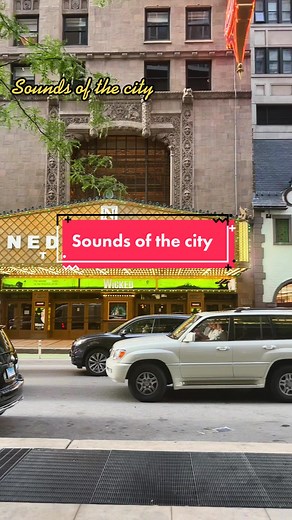 The Chicago Loop on TikTok