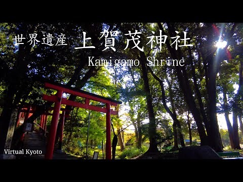 【4K】京都の世界遺産散策【秋の上賀茂神社を歩く】Kyoto Japan walk- Beautiful Shrine ASMR 2021年11月