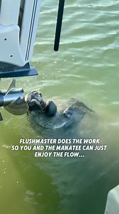 Our Flushmaster system flushes up to four outboards sequentially with the push of a button—no hose swapping, no standing around. Just effortless engine care so you can Flush your engine and not your TIME #flushmaster #boating #boats #manatee | Flushmaster Marine