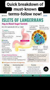 How islets of langerhans keep our hormones in Balance #gkbooks #isletsoflangerhans #pancreas | Gkbooks