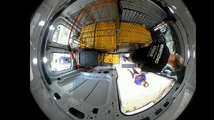 Rescue of Beagles from Tennessee Breeder. | RobDar's HoundSong rescue